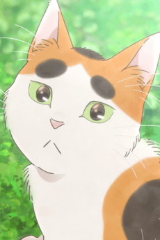 大石ぶちお