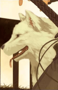 陸