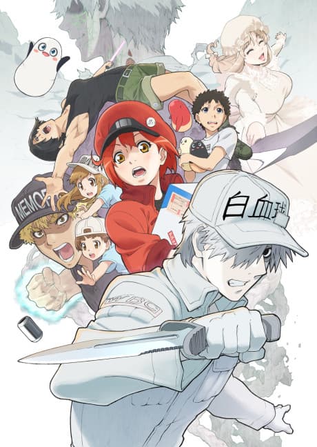 『はたらく細胞』続編2期|全8話で描くさらなる体内の攻防【あらすじ・見どころ】