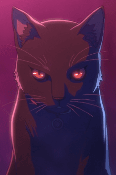 黒猫