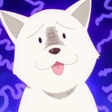 犬